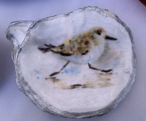 Sandpiper - Coastal Decor - Oyster Shell