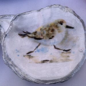 the cabana chandler trinket tray jewelry tray oyster keepsake coastal home decor giftable one of a kind sandpiper piper natural colors