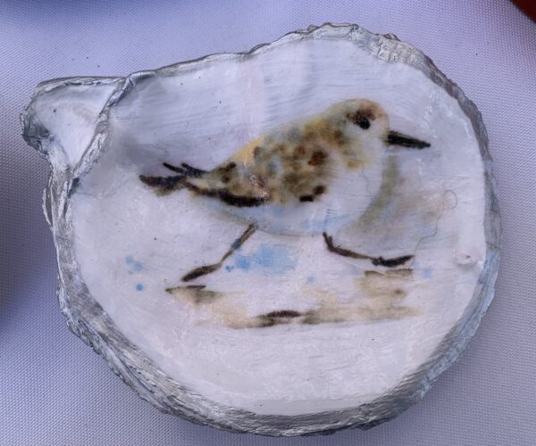 the cabana chandler trinket tray jewelry tray oyster keepsake coastal home decor giftable one of a kind sandpiper piper natural colors