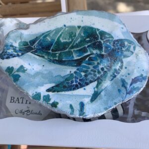 teals and blues coastal turtle