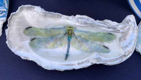 the cabana chandler oyster dragon fly nature trinket dish jewelry tray home decoration keepsake