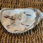 Sandpiper oyster shell handcrafted one of a kind gift idea coastal home